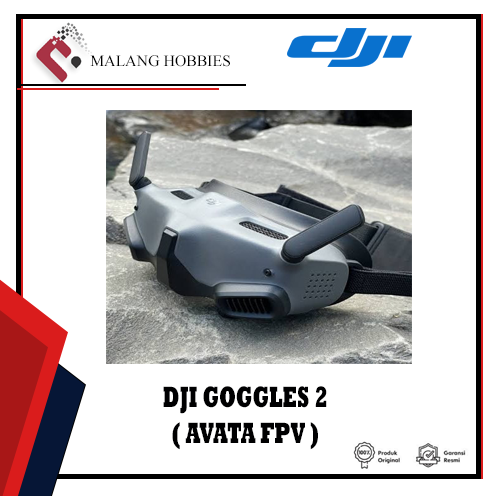 DJI Goggles 2 | DJI Goggles 2 AVATA FPV