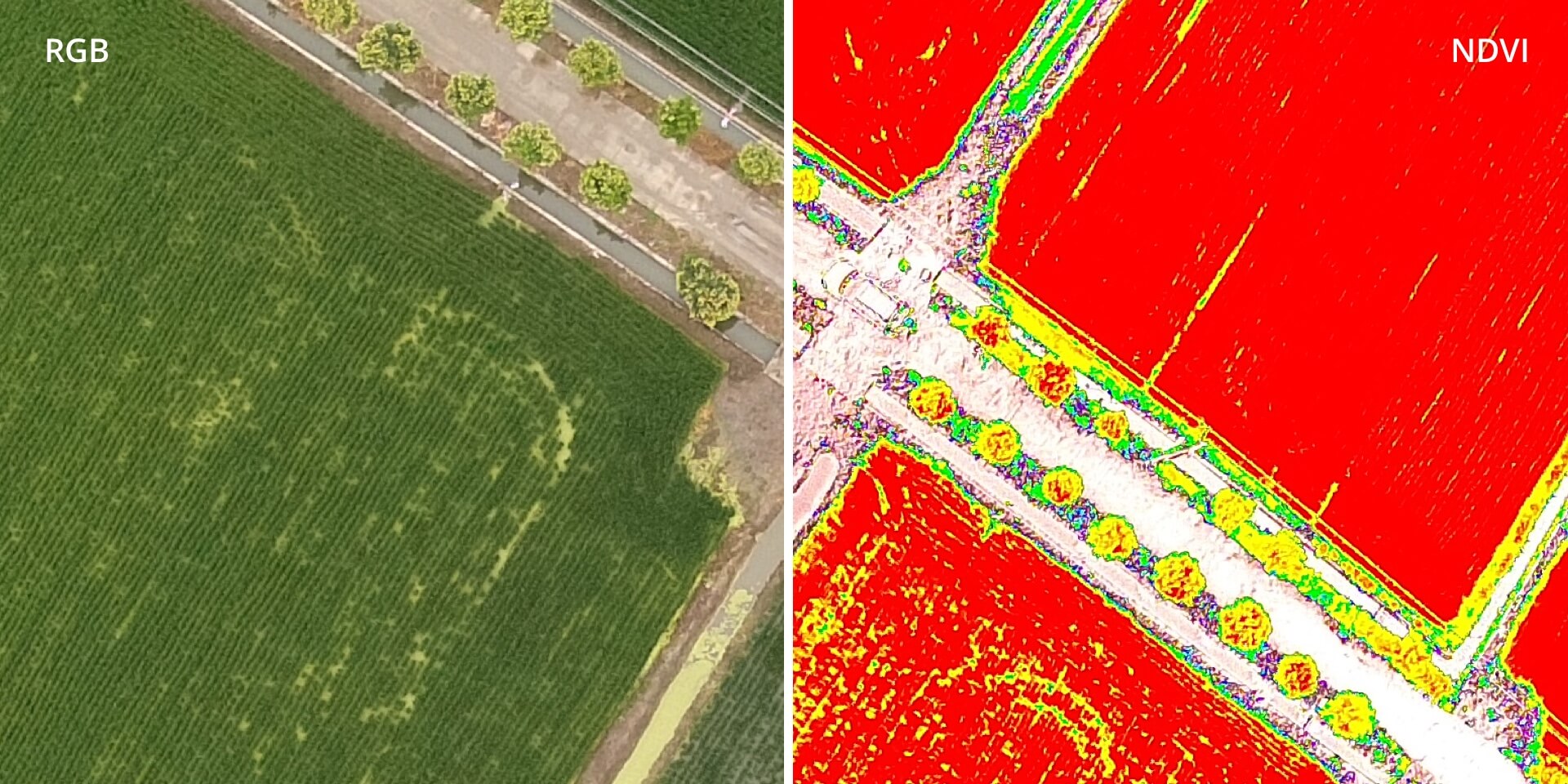 jual DJI PHANTOM 4 MULTISPECTRAL drone mapping 